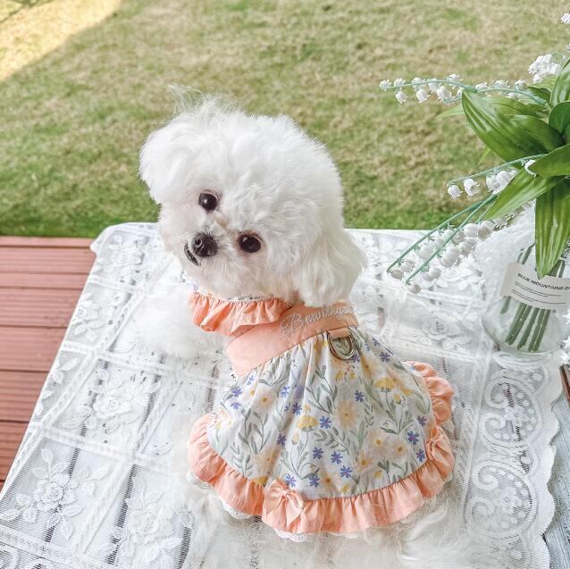 【予約】№3102042 お花のフリルワンピース