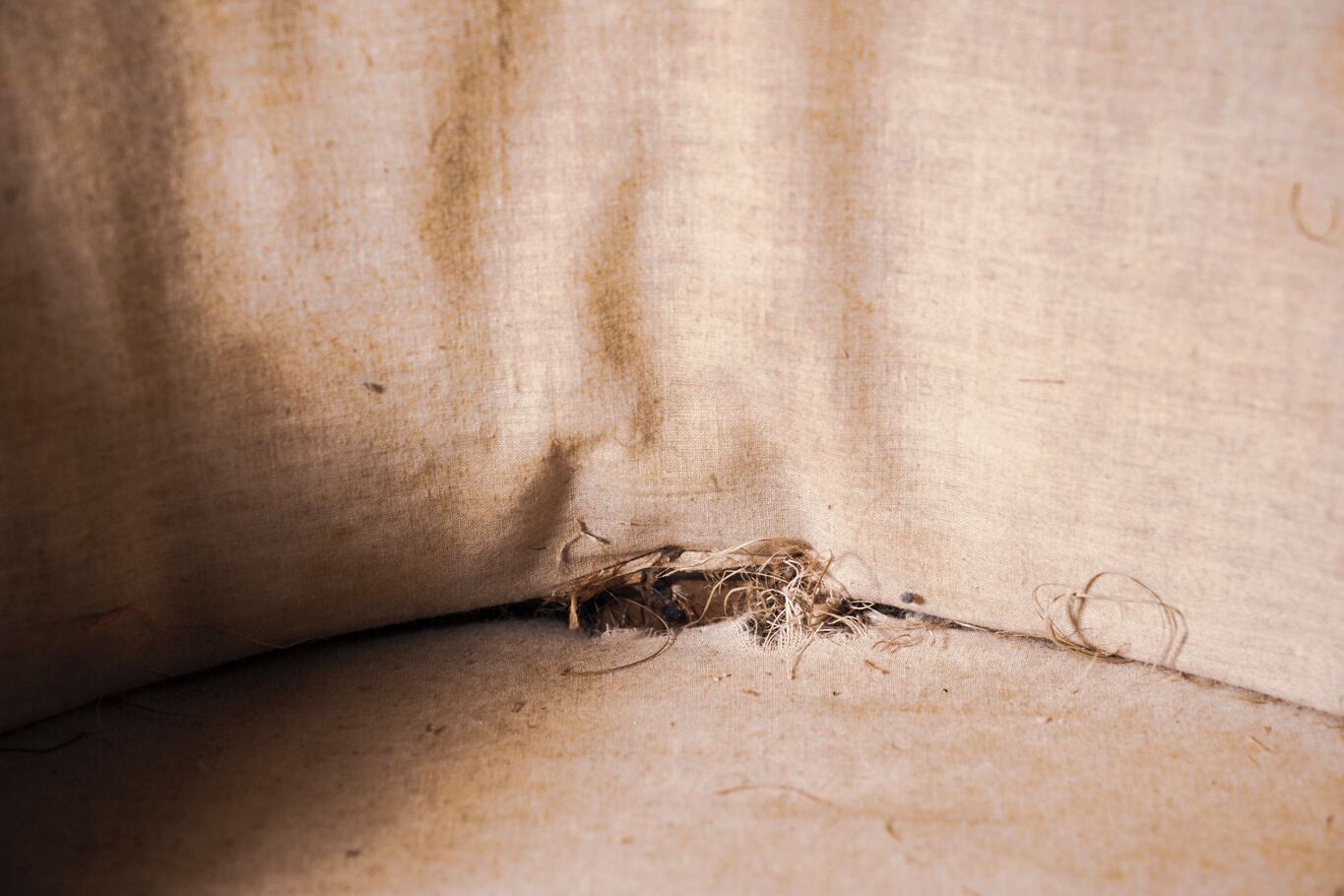 デイベッド/ソファー/ファブリック/アンティーク/店内装飾/インテリア