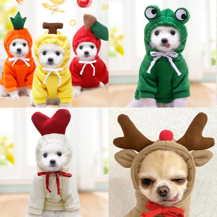 ドッグウェア パーカー 犬服 暖かい 冬 冬服 男の子 女の子 ペット服 小型犬 お散歩 かっこいい かわいい Q Toworld キュートワールド 子供服