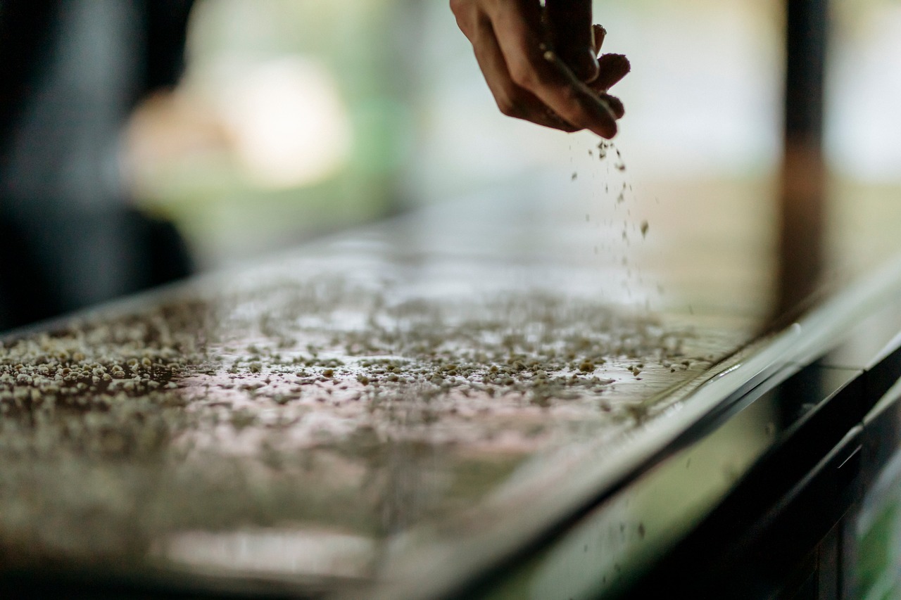 【2026新作】グルマン６