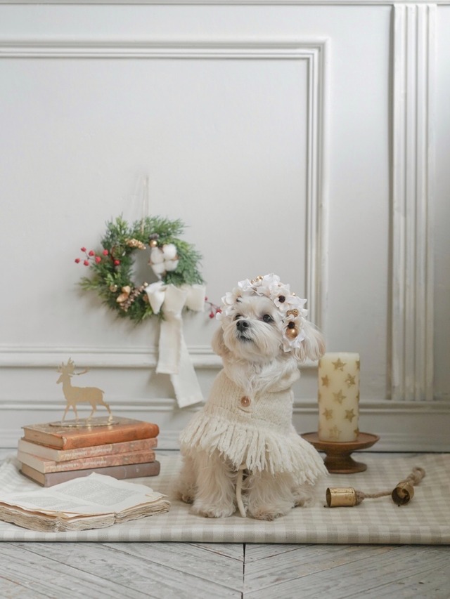 〈予約アイテム〉Drops Flower item - Christmas wreathe (単品販売)