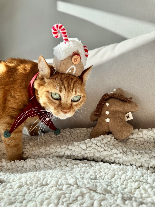 gingerbread house hat from WETNOSE 猫 帽子 クリスマス