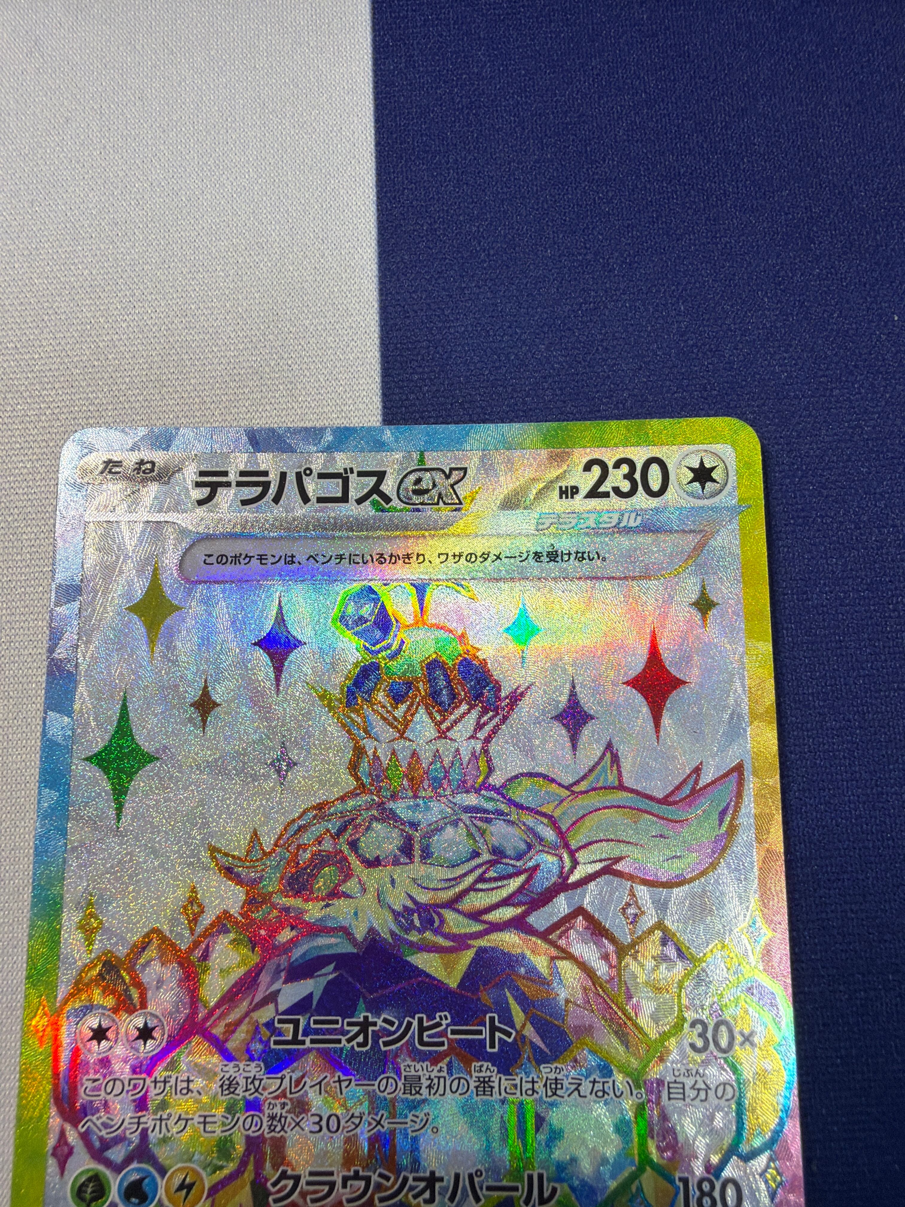 Bランク】テラパゴスex sv7 122/102 SR ステラミラクル ポケモンカード