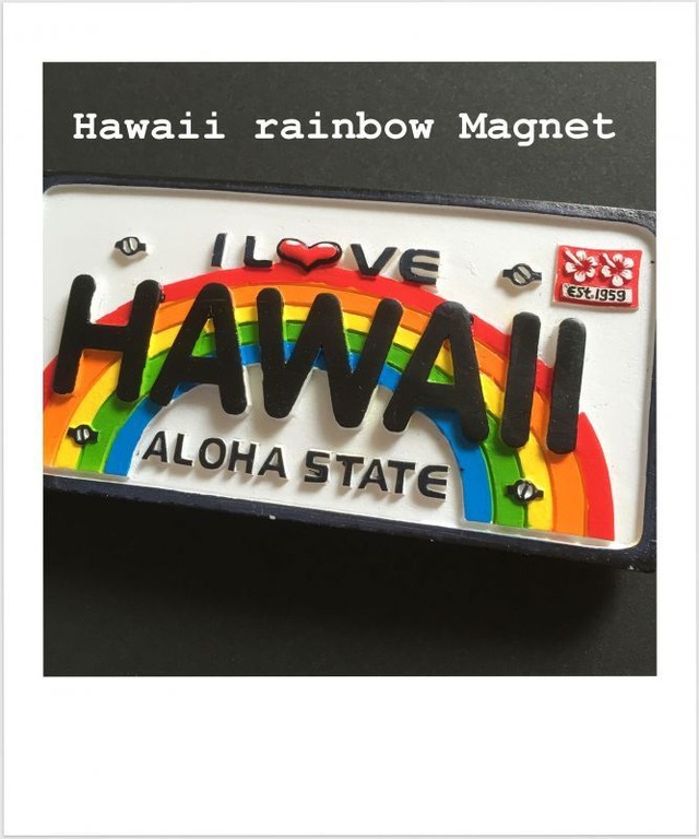 hawaii マグネット；Aloha state