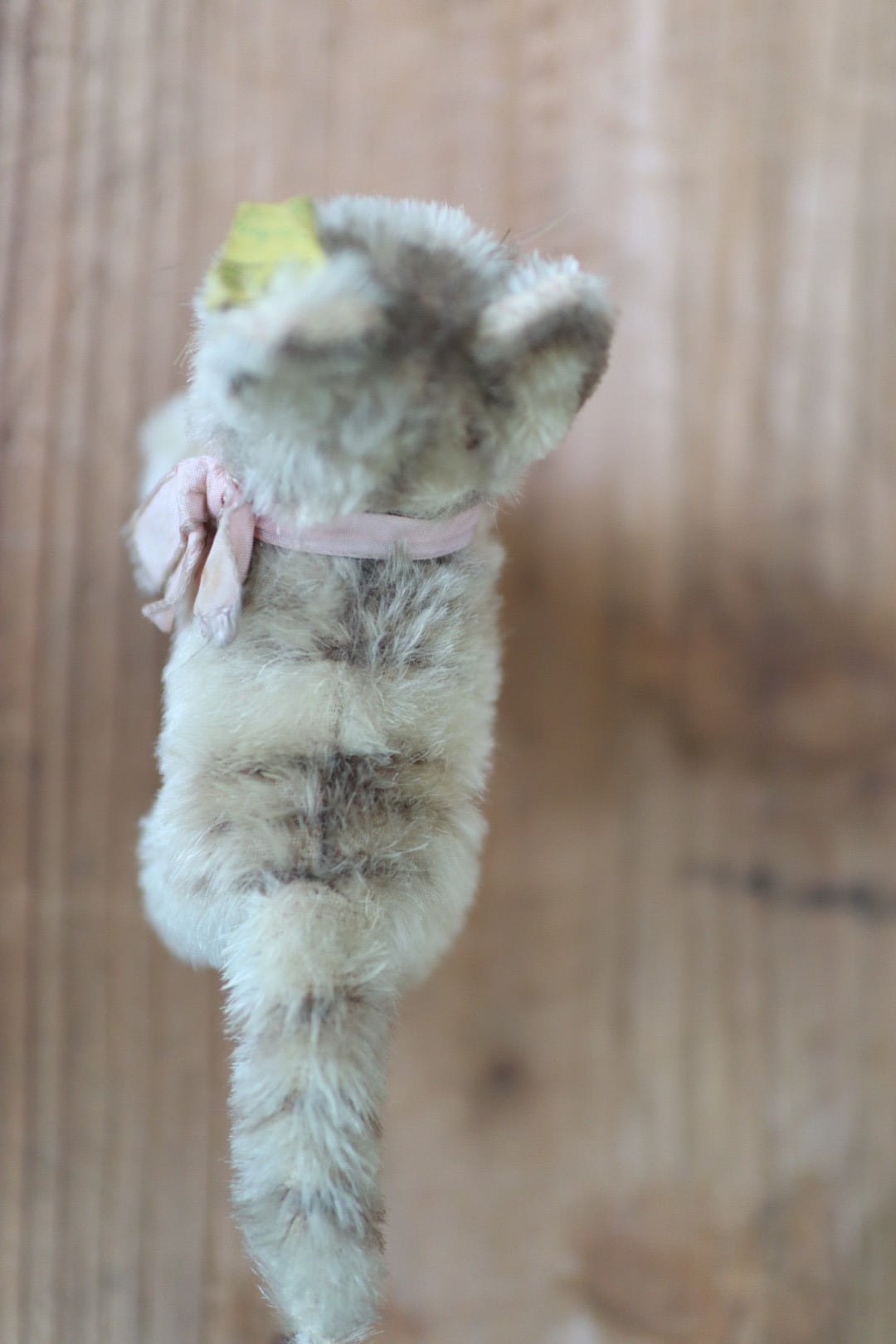 アンティーク シュタイフ ネコ Tabby 10㎝