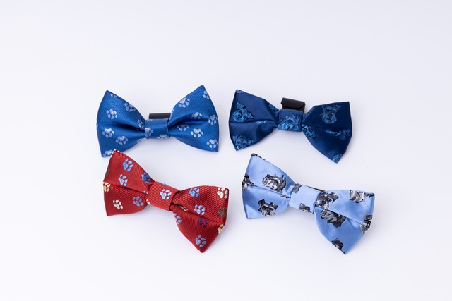 シェルポーチ S