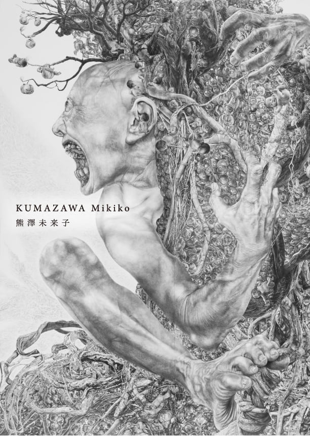 熊澤未来子展 リーフレット | Mizuma Art Gallery