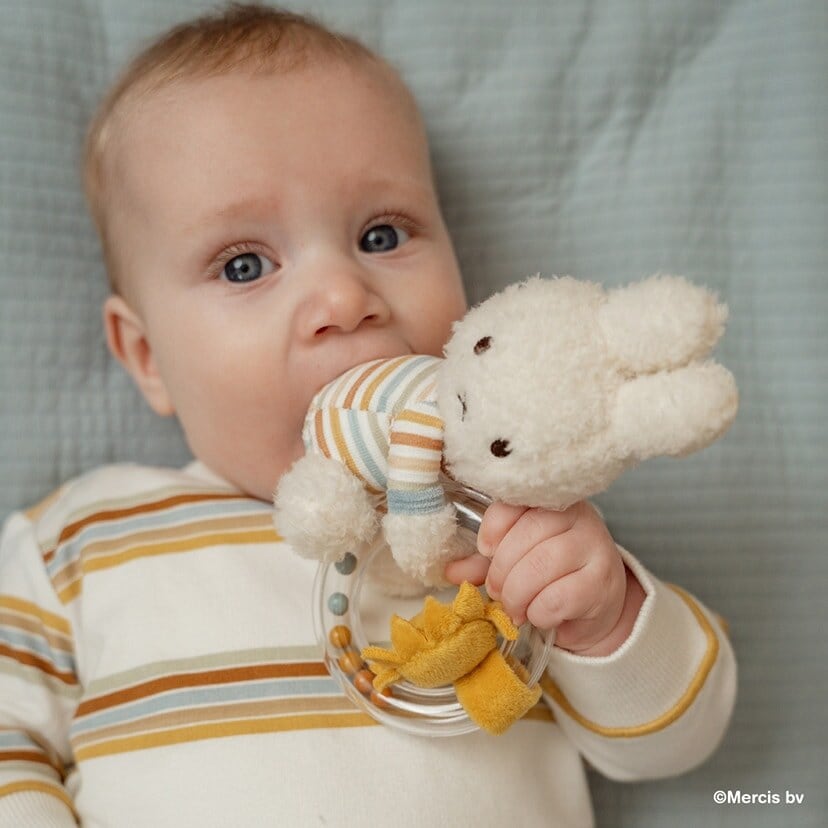 Little Dutch リトルダッチ | miffy x Little Dutch リングラトル