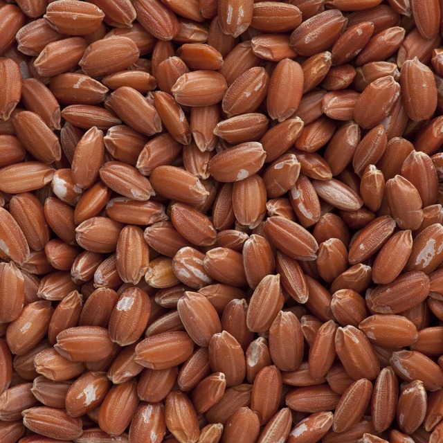 玄米4kg・三色米500g セット