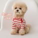 XL/即納【SSFW】Sesami Stripe Tee《Red》