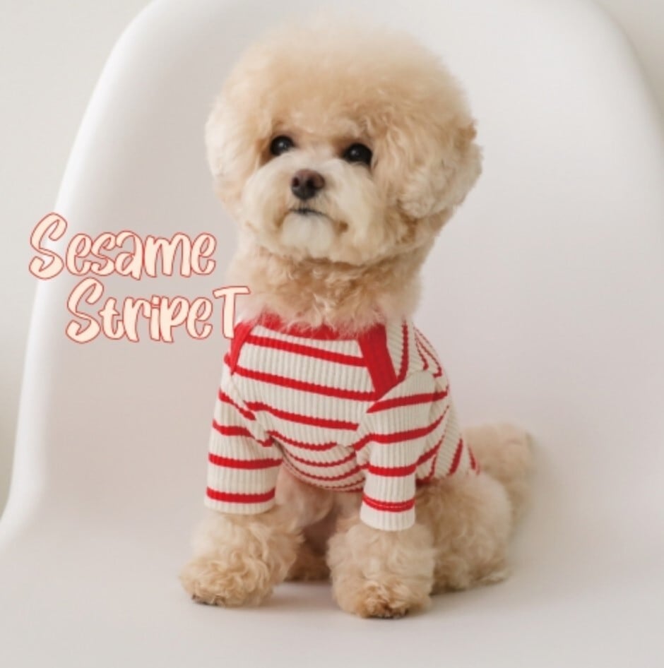 XL/即納【SSFW】Sesami Stripe Tee《Red》