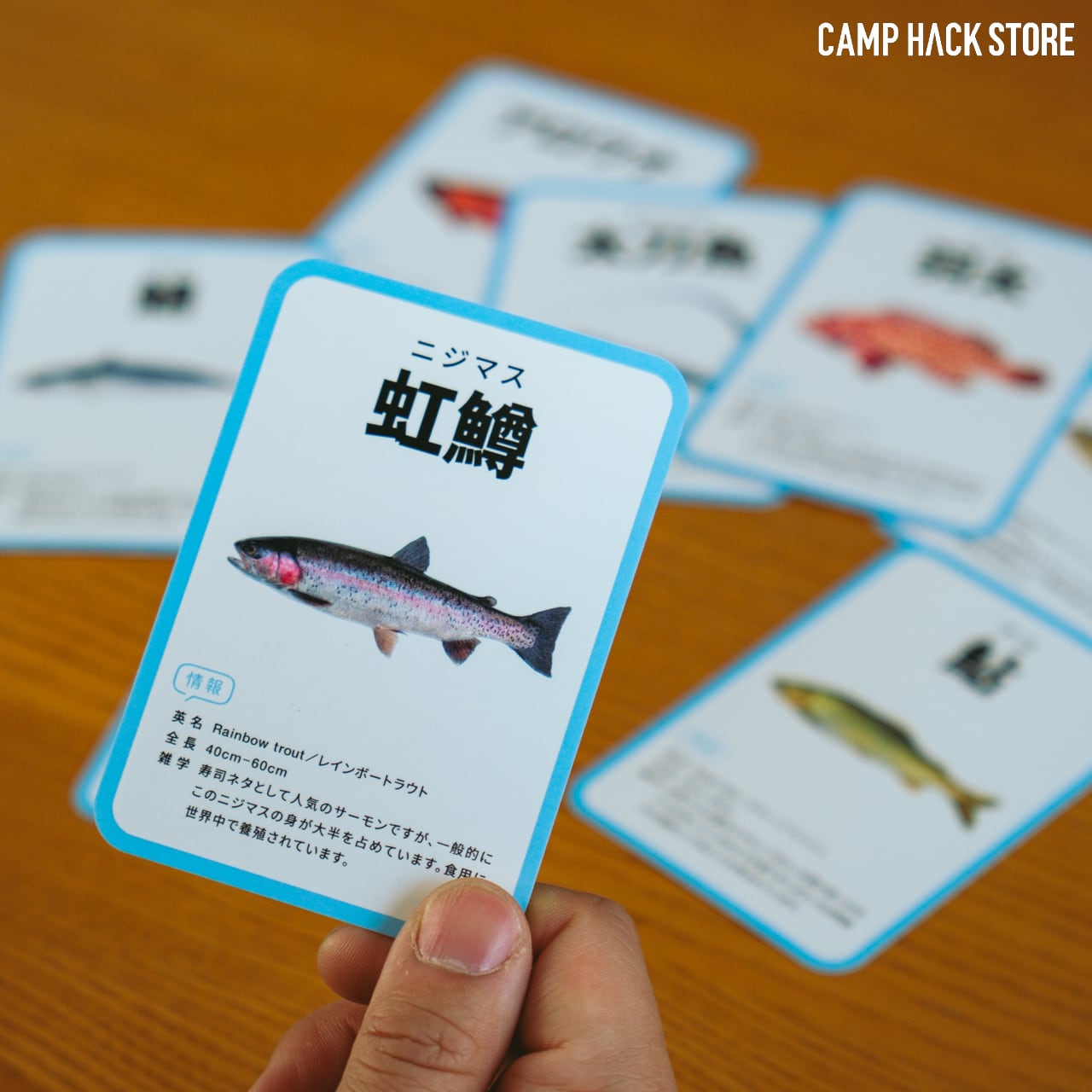 模様だけで魚種を当てよう！「さかなかるた」 | CAMP HACK STORE