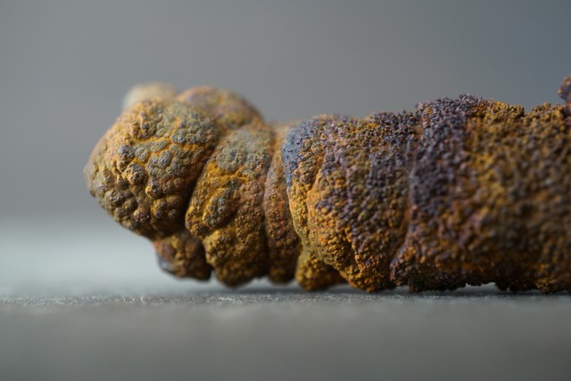 リモナイト Goethite var. Limonite 1553
