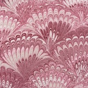 「ラズベリーレッド×グレージュ」花火柄〜洗えるきもの（シルジェリー）〜