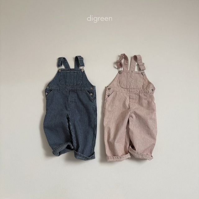 【予約】 digreen  /Pocket overall