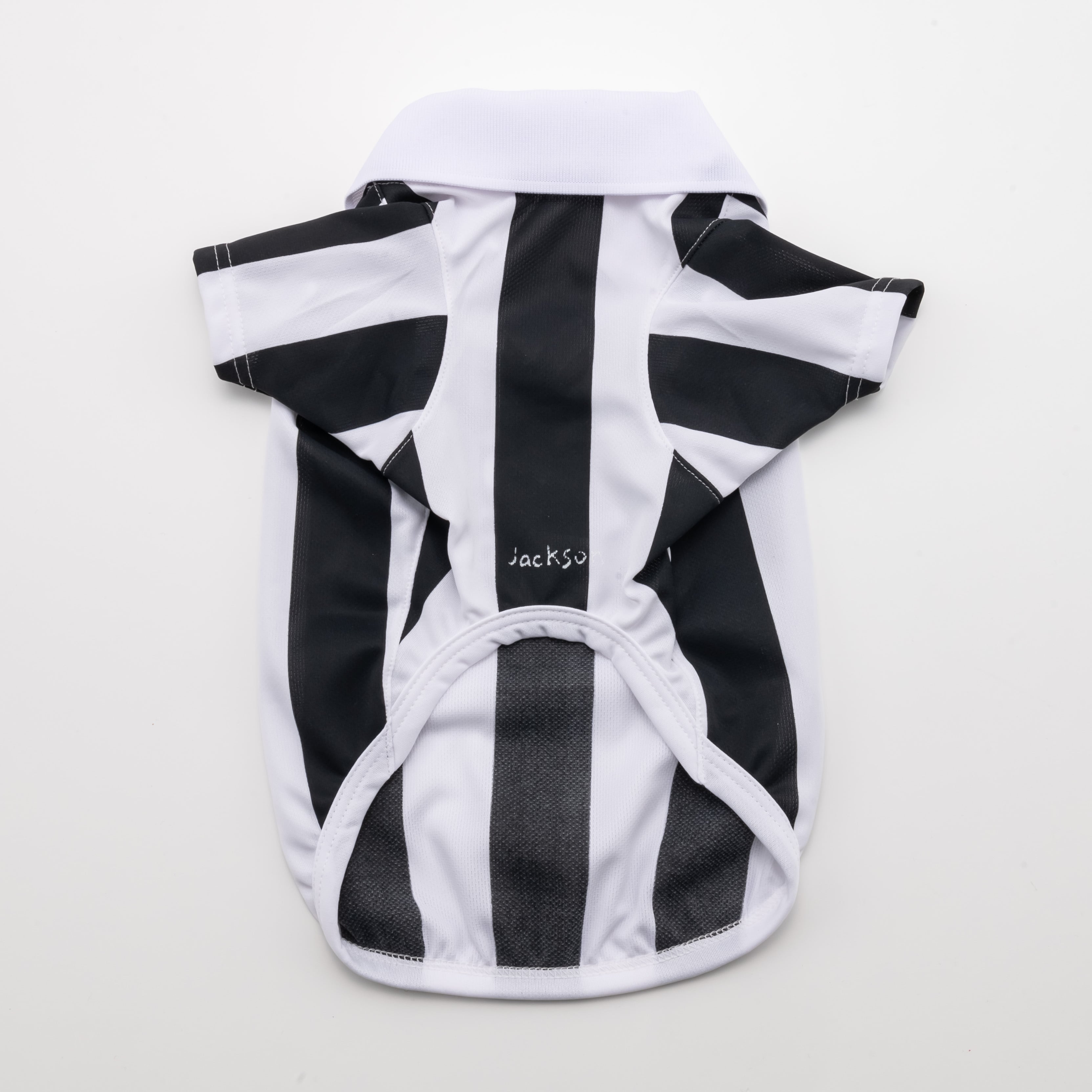 GAME Shirts | JACKSON MATISSE PETS