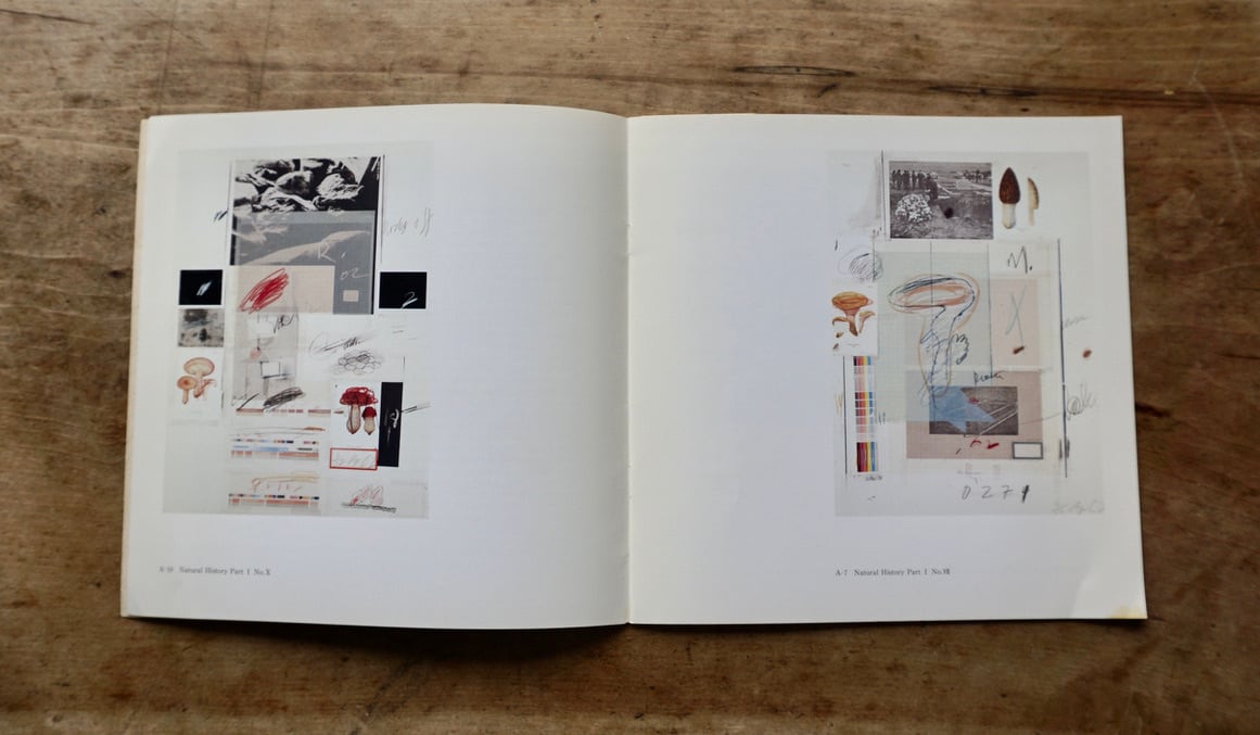 Cy Twombly 絶版作品集　センチメンタリズムの地誌 絶版中古書】CY TWOMBLY サイ・トゥオンブリー センチメンタリズムの