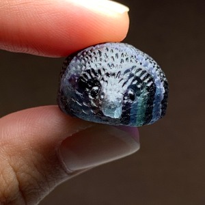 34.可愛い色合い☆フローライト ハリネズミ