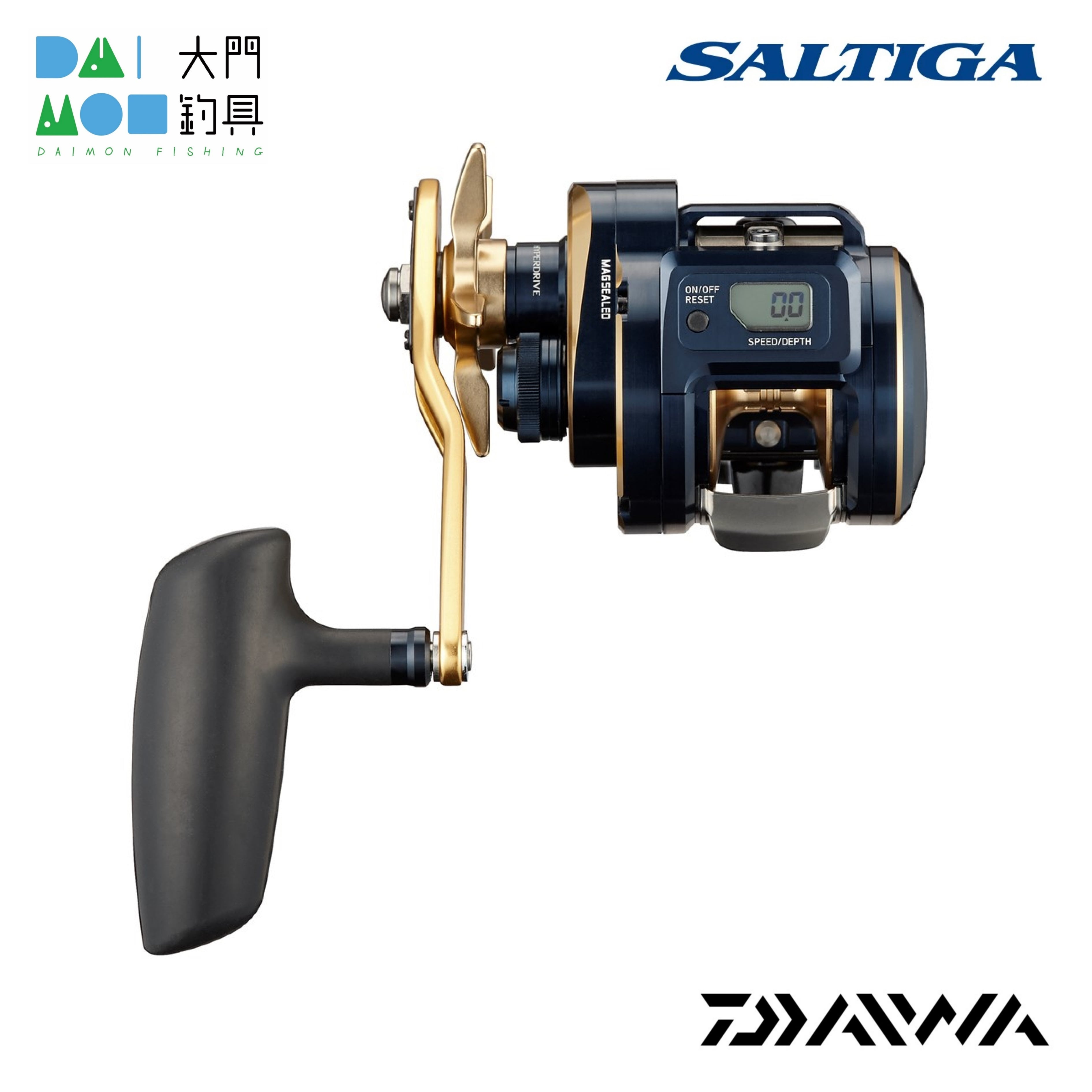 ダイワ 21ソルティガ IC 300HL-SJ / DAIWA 21 SALTIGA IC 300HL-SJ