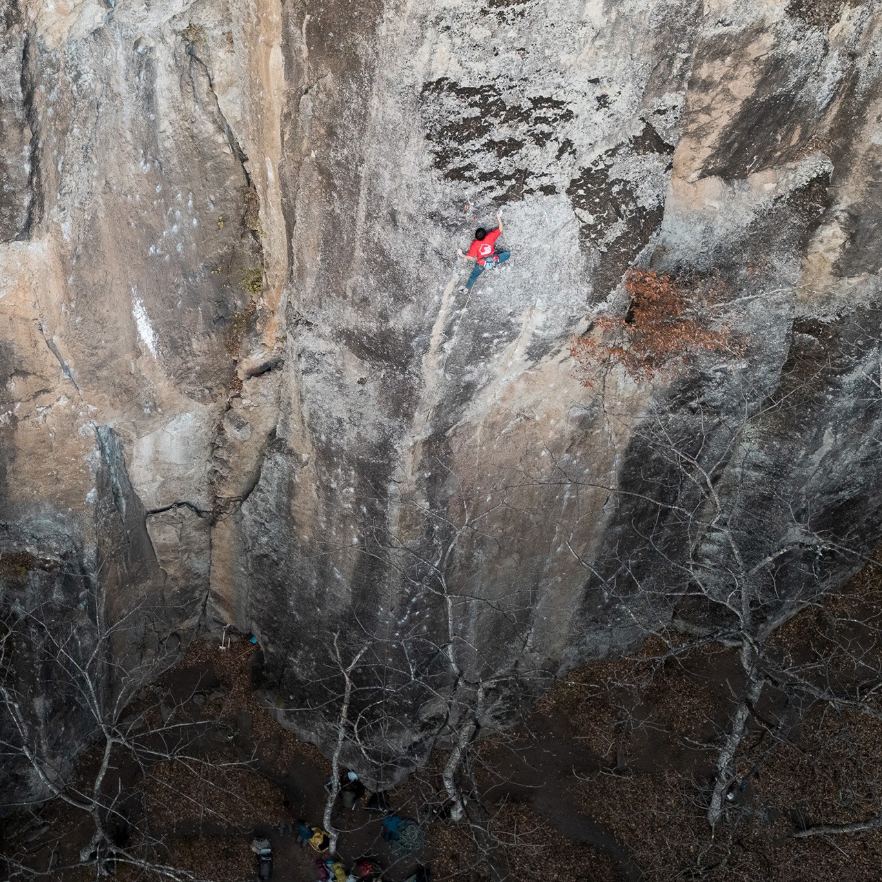 ［予約］HIGH-LIGHT LOGO Tee