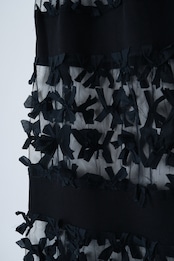 Ribbon tulle skirt