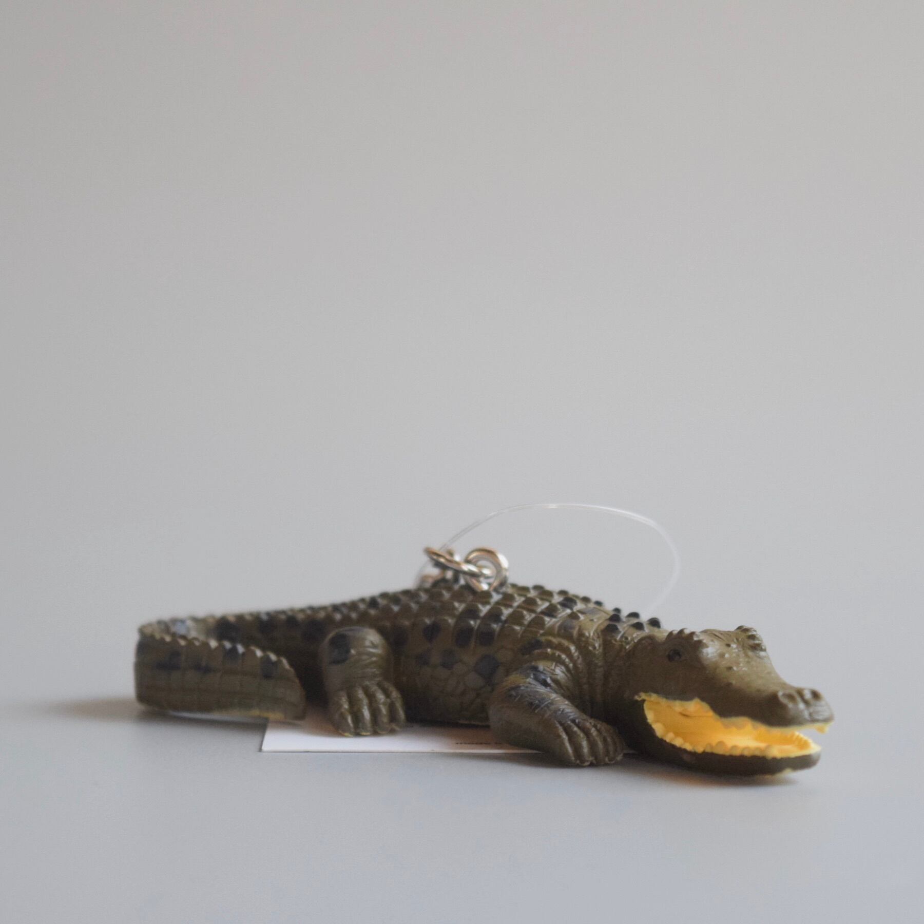 crocodile online store