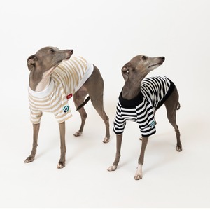 ボーダーTシャツ　black / イタグレ服