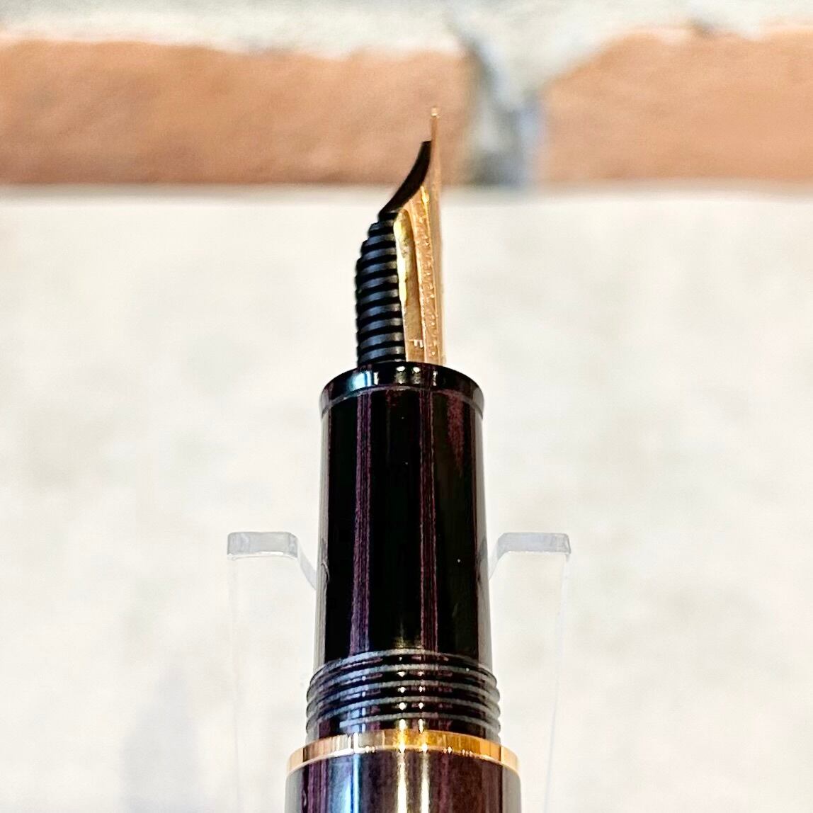 ナーヴァル ノーチラス万年筆「スティロフォラベリー」／字幅F