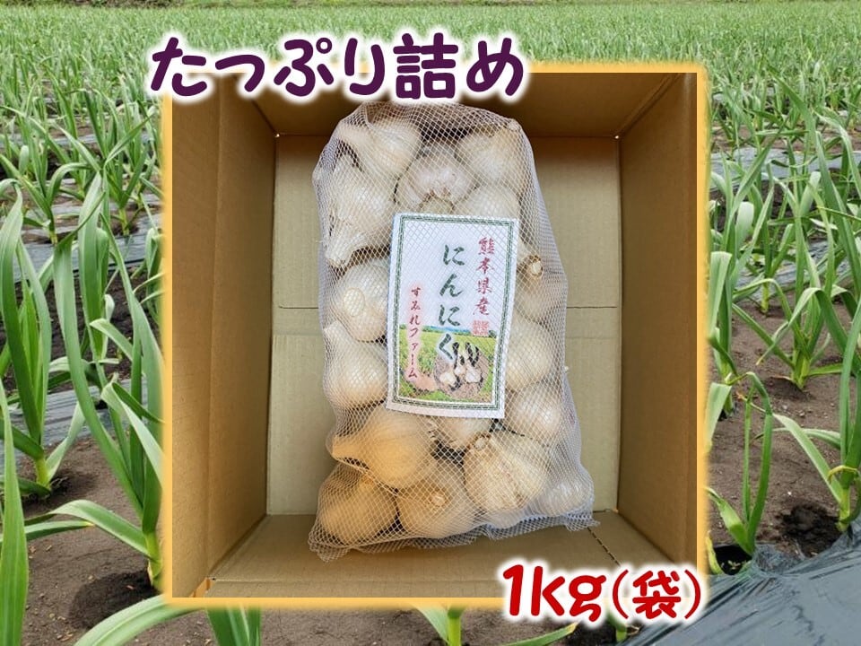 ロボコンさま 専用 兵庫県産 生にんにく 約10キロ フレッシュ ◎先行予約販売【訳あり】熊本県産 生にんにく1kg | すみれファーム
