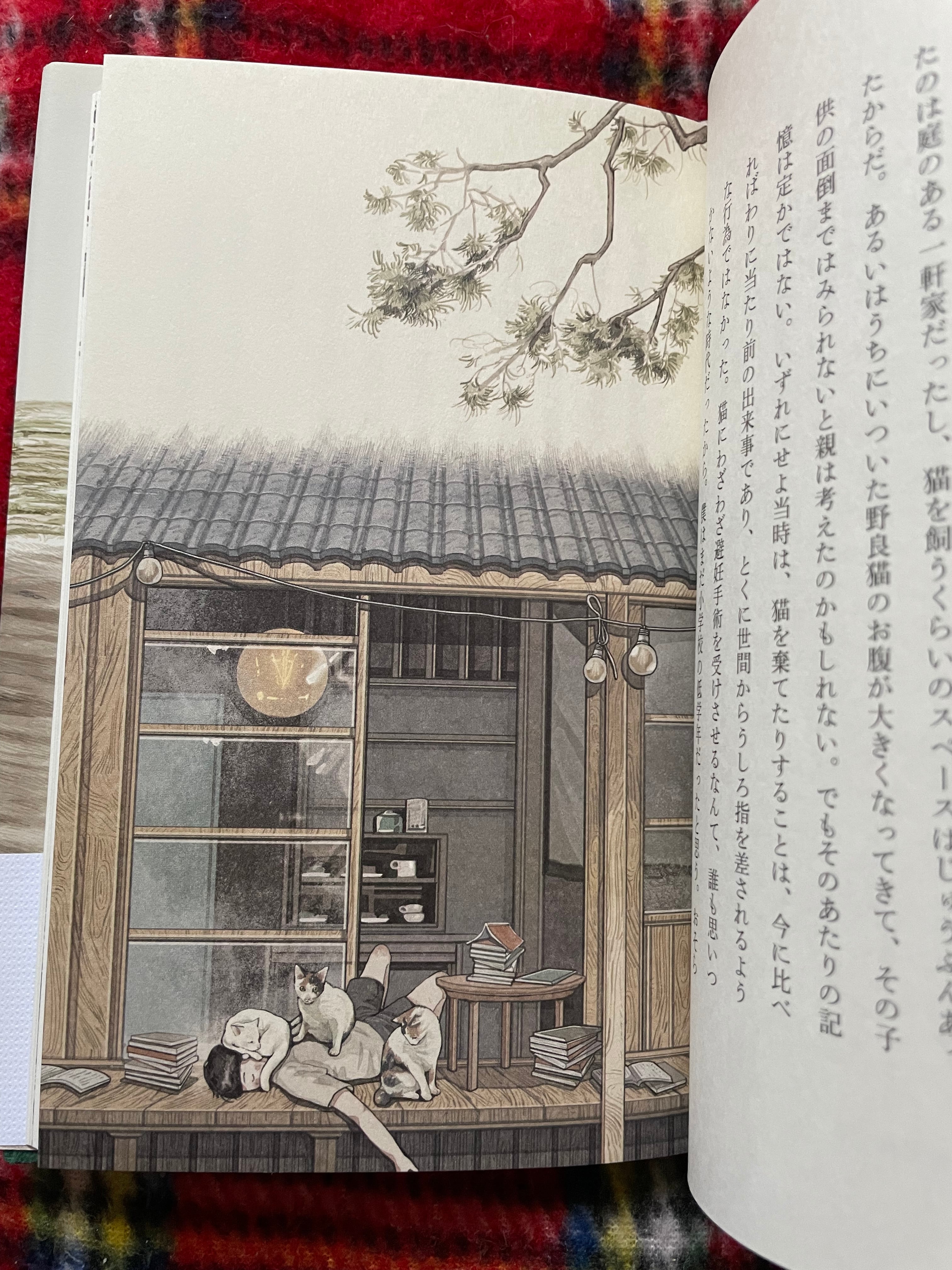 村上春樹「猫を棄てる 父親について語るとき」帯付き 文藝春秋 | 古書