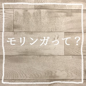 モリンガって？