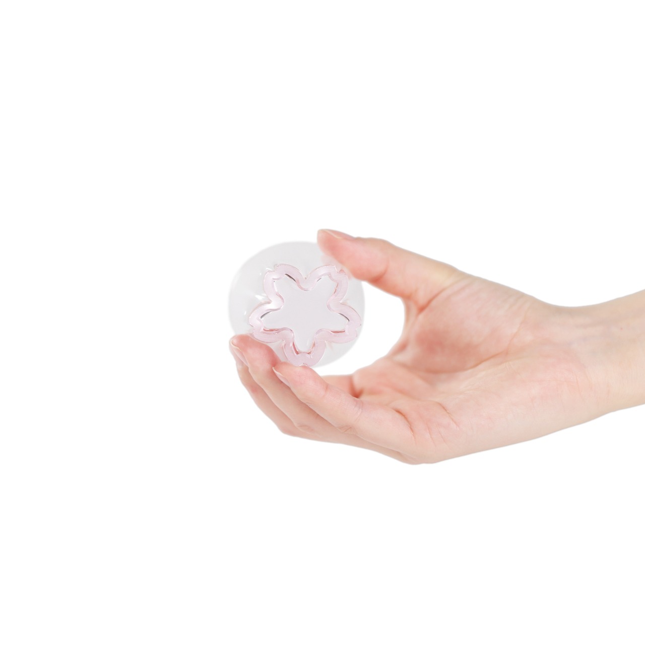 さくらさく サケ 紅白