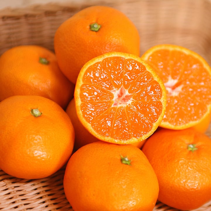 特選早生温州みかん 優品 3kg 2Lサイズ | 杉本果樹園 八寿みかん