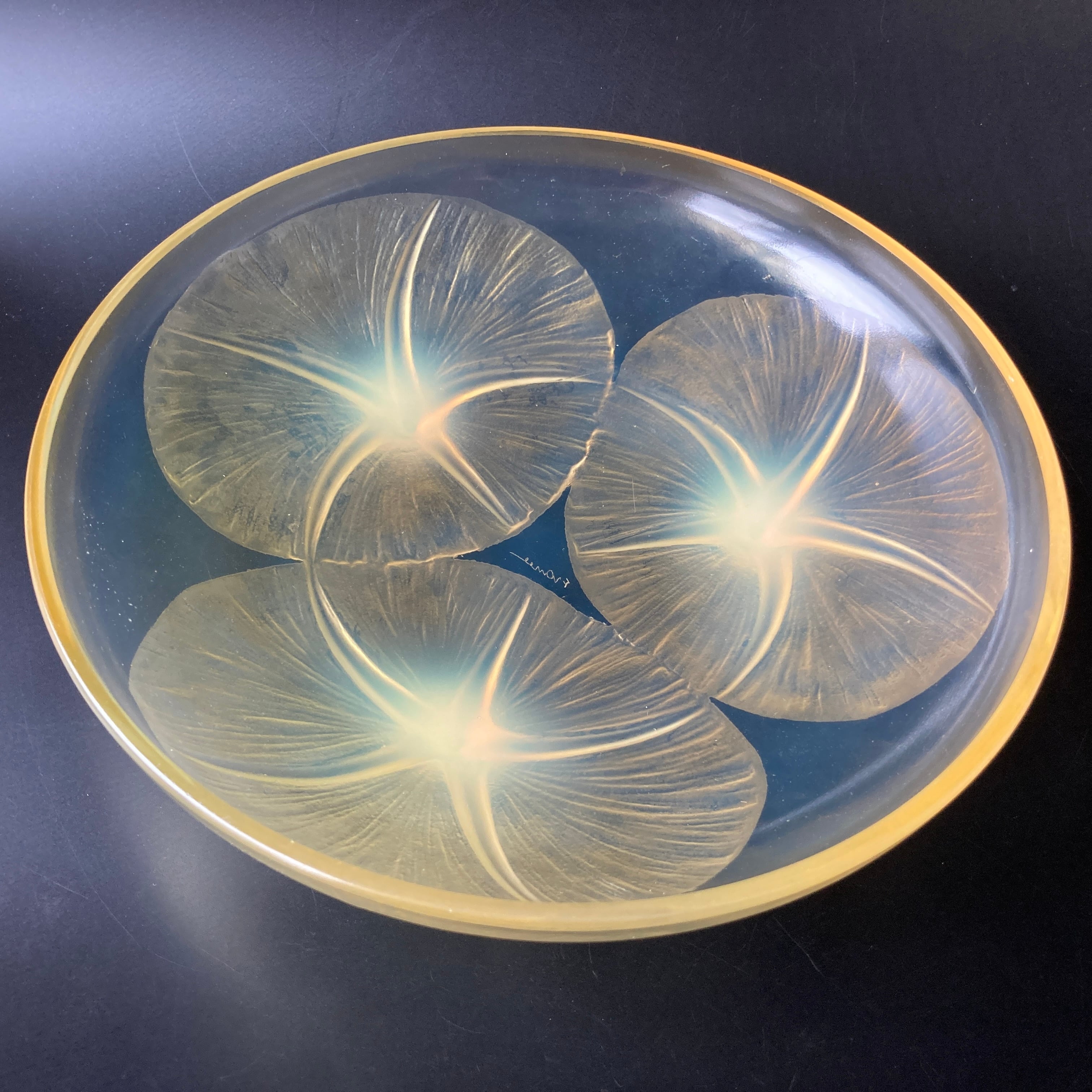 R.LALIQUE ルネ・ラリック「Volubilis」あさがお 朝顔文 硝子浅 R.LALIQUE ルネ・ラリック「Volubilis」あさがお 朝顔文 硝子浅
