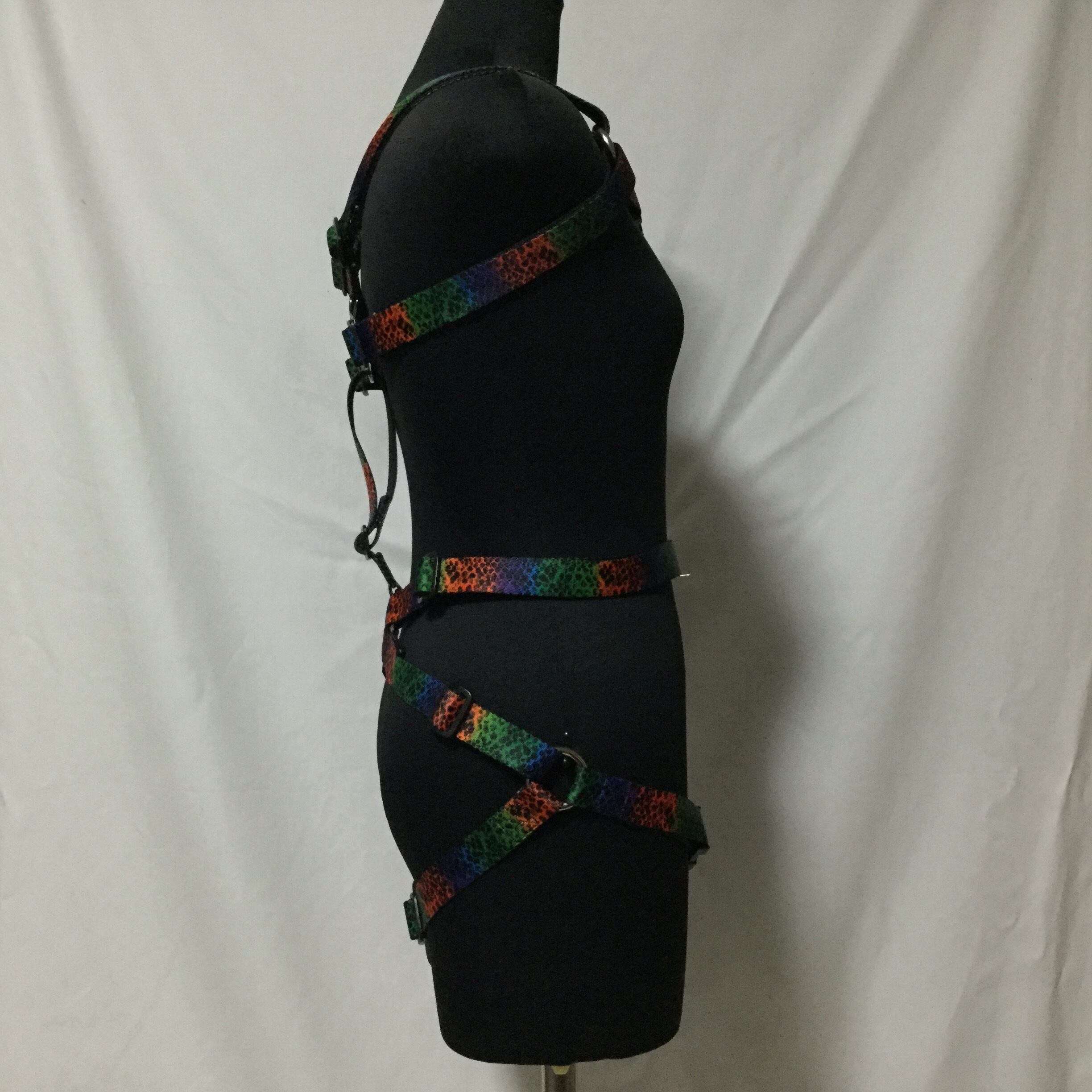 フルハーネス レインボースケール