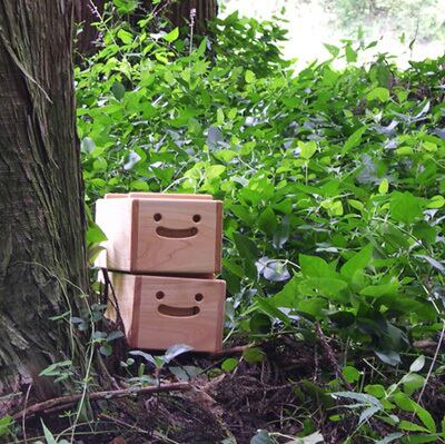 ピタキューブ 工房刻屋 | TOSACOYA