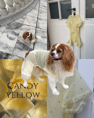 Sheer bijou rompers【Candy Yellow】