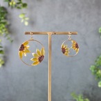 額縁の中の向日葵 | Sunflower Earrings