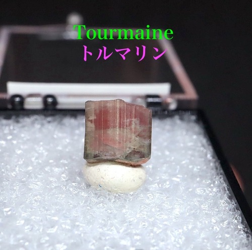 バイカラートルマリン 電気石 1g T811 鉱物　天然石　原石　パワーストーン