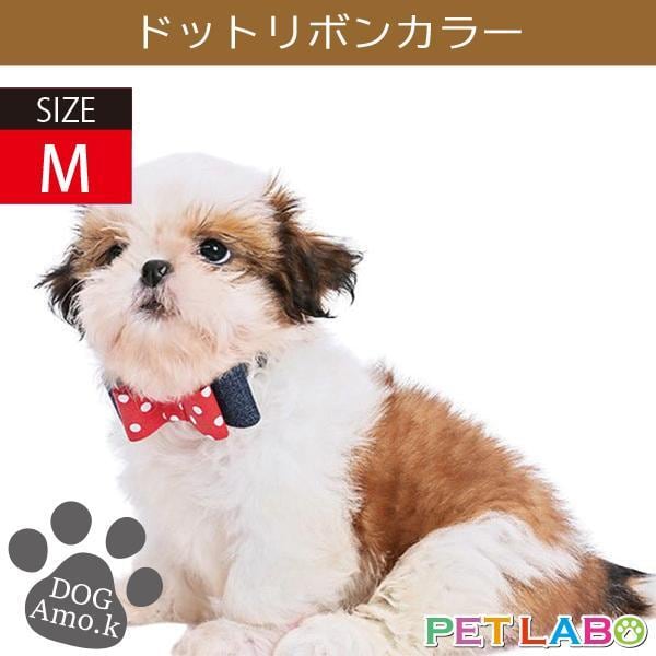 メール便発送OK!! ドットリボンカラー(Mサイズ) Amo.k アモワークス 首輪 胴輪 ハーネス リード 引き手 お散歩 お出かけ