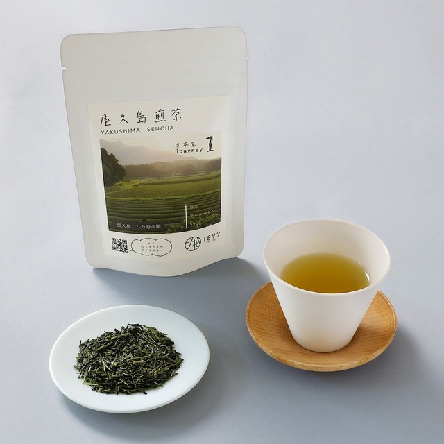そのぎ 玉緑茶