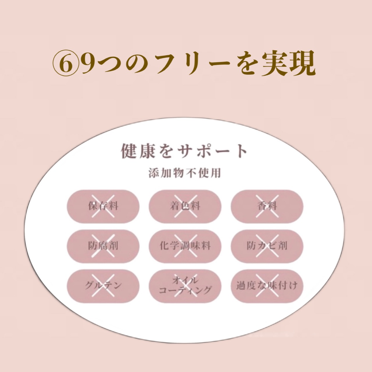 【定期便】 DeliciousWan 800g 3個セット