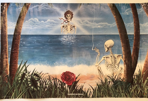 GREATFUL DEAD POSTER sea side CHILLIN