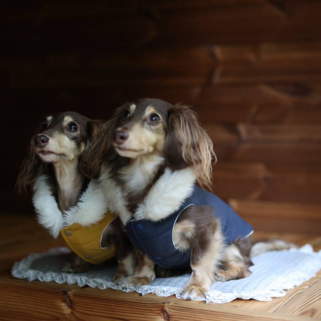 ダウンジャケット（ファー付きフード)※リバーシブル | カニンヘン