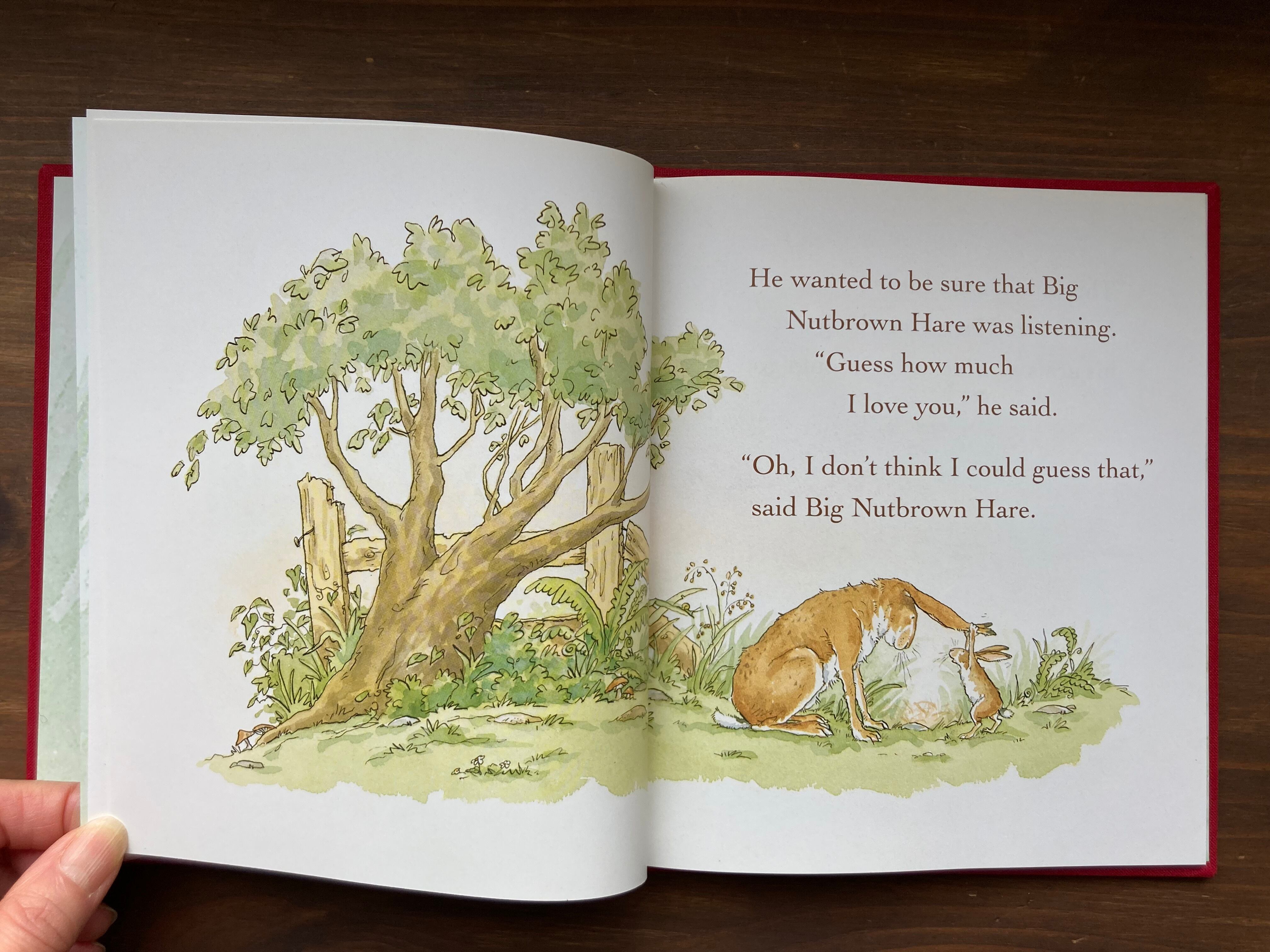 Guess How Much I Love You(布装丁)