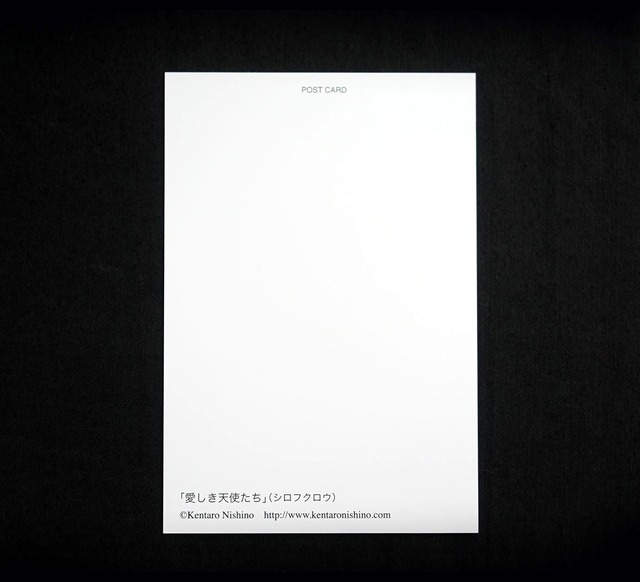 ポストカード「トラ、ユキヒョウ」