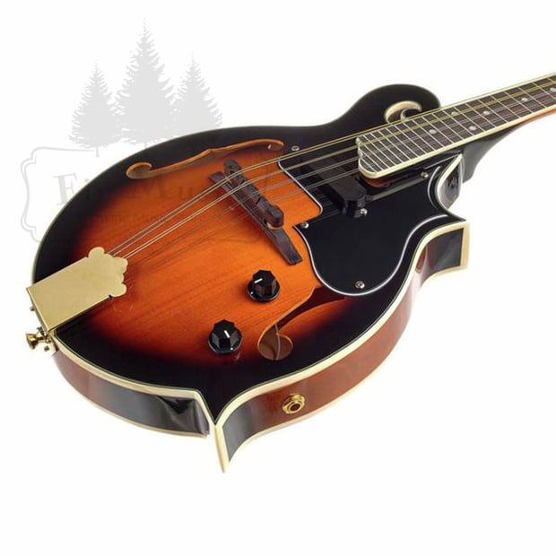 Dano Custom Mandolin F type フラットマンドリン Dano Custom