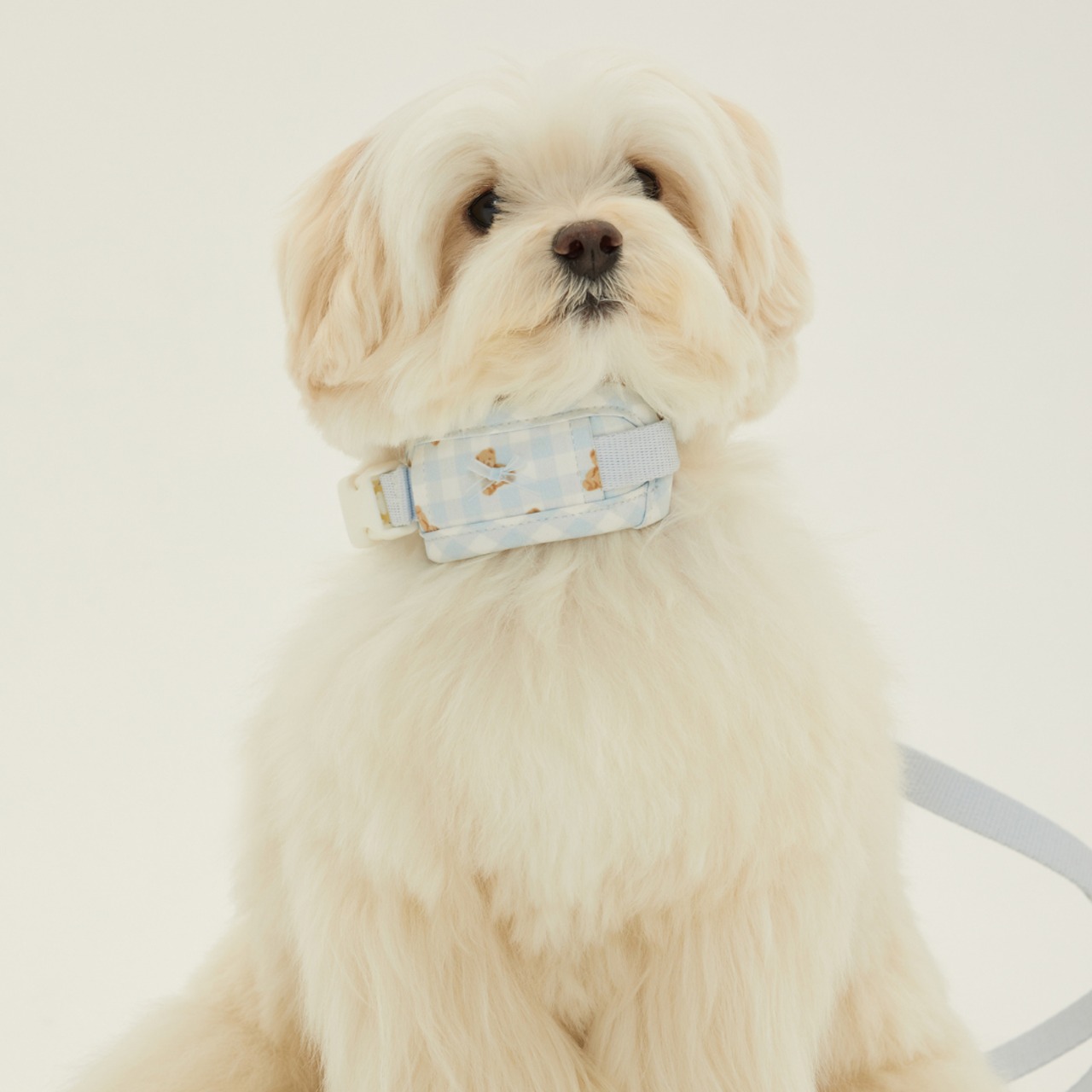 【予約】[ thesallyslaw ] Bailey cushioning collar｜Powder Blue Check - 11