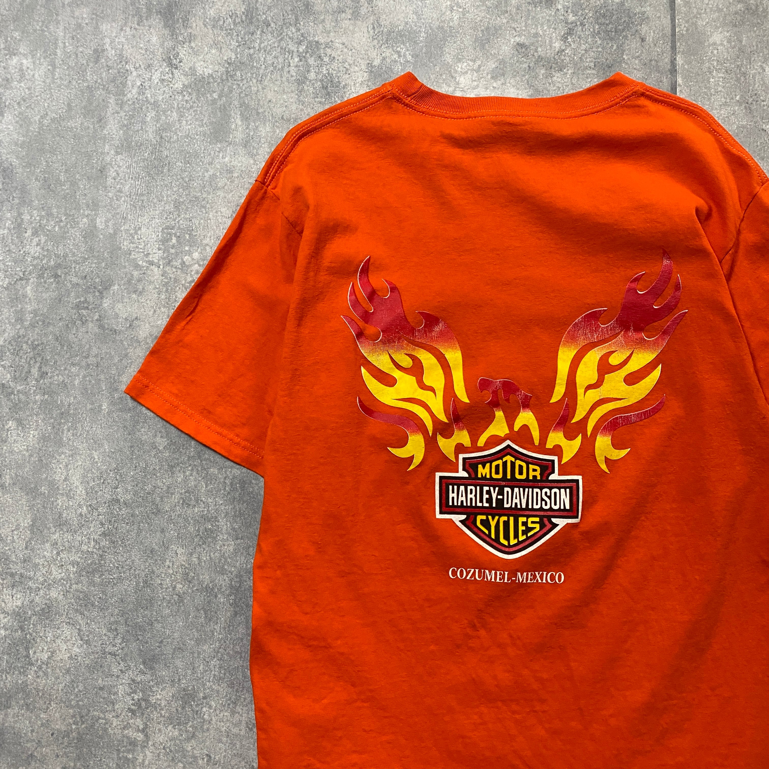XL Harley-Davidson フレイム 炎 ファイヤー ロンT ウケ Tシャツ XL Harley-Davidson フレイム 炎 ファイヤー ロンT ウケ Tシャツ
