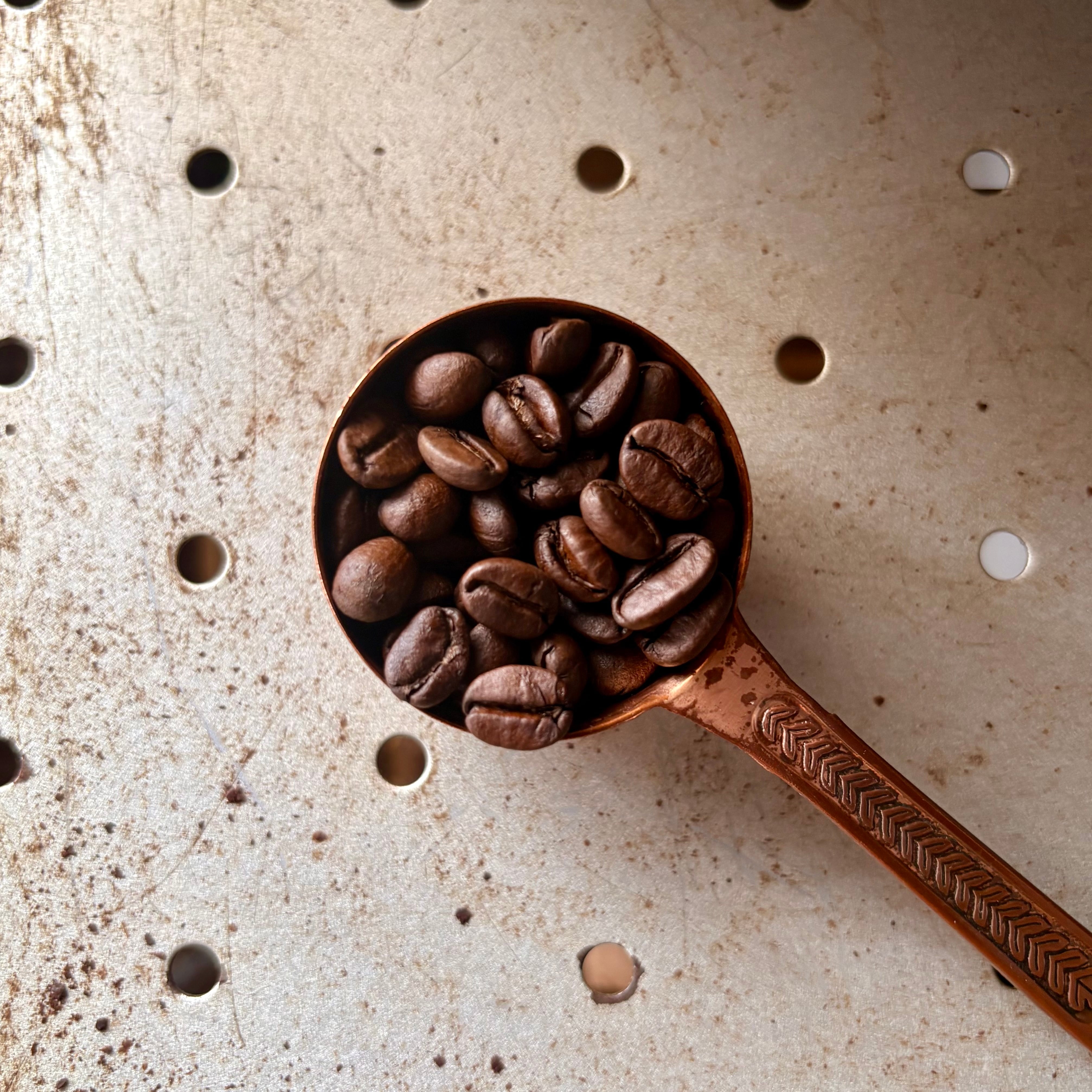 2025.11.04タナカ様